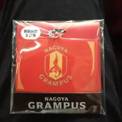 Item thumbnail for item 1bd4c187-ae95-4a9f-8a1e-129b87d72d2d