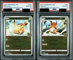 ピカチュウ ライチュウ PSA10 連番 ゴールデンボックス