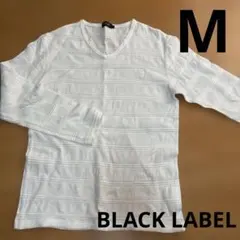 ブラックレーベル　M ホワイトストライプ長袖Vネックカットソー 長袖　白