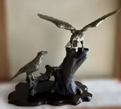 メガララガルーダMegalara garuda 標本 インドネシア産 メガララガルーダMegalara garuda 標本 インドネシア産 - メルカリ