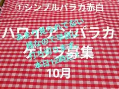 ハワイアンパラカ　ゲリラ募集　10月