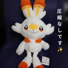 ポケットモンスター ヒバニー めちゃもふぐっと ほっこりいやされぬいぐるみ