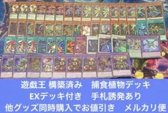 遊戯王 構築済み　捕食植物デッキ EXデッキ付き、手札誘発あり