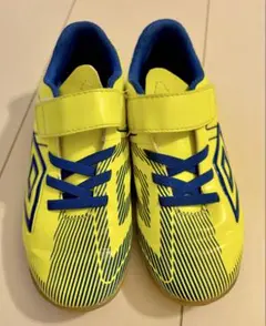 Item thumbnail for item 7ad6a6fc-7c44-4a92-aefe-a324b00042d1