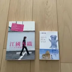 Item thumbnail for item 85e82e2a-01df-4bf6-9573-d0ae2e262eba