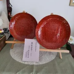 Item thumbnail for item 3cfc7655-d304-449b-8a1c-dcda0bf140b7