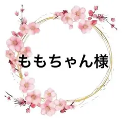 ももちゃん様専用♥️