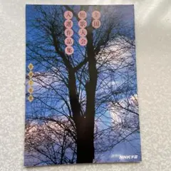 グリーンパプリカ様 リクエスト 2点 まとめ商品