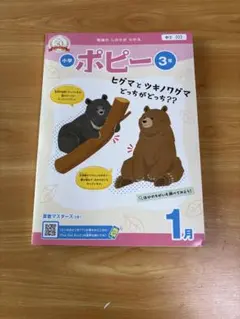 2025年最新】小学ポピーの人気アイテム - メルカリ