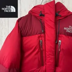 【激レア】THE NORTH FACE ザノースフェイス　ダウンジャケット　刺繍