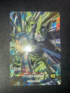 S*o様 SDV5-033セル