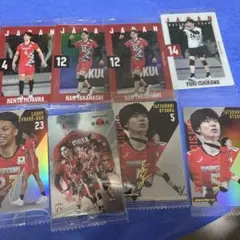 バレーボール 日本代表 選手カードセット