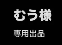 むう様専用出品
