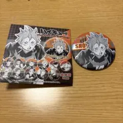 ハイキュー!! デコレクション缶バッジ 第2弾 日向翔陽