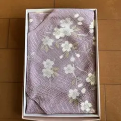 Item thumbnail for item 3c6dad5e-864e-4727-b8da-da8baf6cae1b