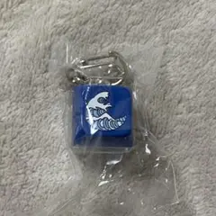 INI 池﨑理人 カプセルトイ キーキャップ キーホルダー