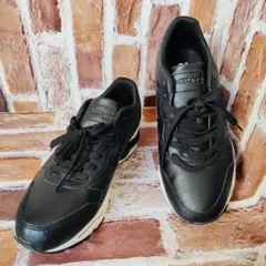 Item thumbnail for item 5507d7d9-677c-4e99-a6df-5178c082d93b