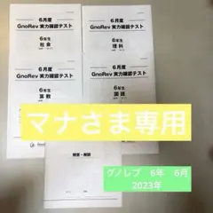【マナさま専用】グノーブル グノレブ6年生 6月度　実力確認テスト　2023年