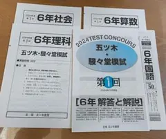 2024年五ツ木駸々堂模試　小6 第1〜6回と特別回4科目、解答あり 2024年 小6 五ツ木 駸々堂模試1回〜6回、特別回 - メルカリ