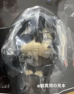 僕のヒーローアカデミア ヒロアカ るかっぷ　相澤消太