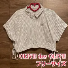 OLIVE des OLIVE 裾ドロストストライプ柄半袖シャツ フリーサイズ