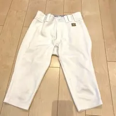 Item thumbnail for item 5046a61a-b191-4ccb-bf43-ec2ca394bc44