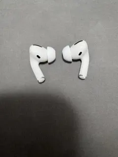 AirPods Pro 第1世代　ケースなし　イヤホンのみのサムネイル