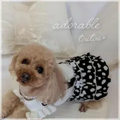 Item thumbnail for item 07538f60-cc0f-4bbb-ac5a-ff06b8330e07