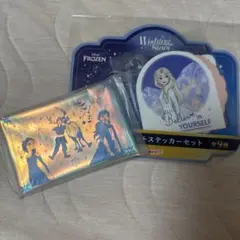ハッピーくじ Disney Wishing Stars アナ雪 2点セット