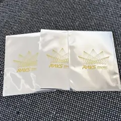 SnowMan RAYS グッズ チケット風カード 岩本照 3枚セット