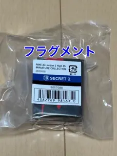 NIKE Air Jordan エアジョーダン SECRET2 フラグメント