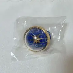 プロセカ　セカライ 5th リングライト KAITO