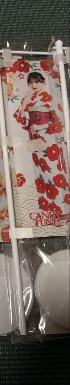 ぴーちゃん様専用