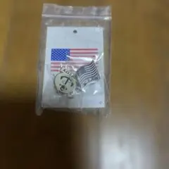 FIDELITY ピンバッジ 2個セット アンカー 星条旗