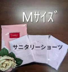 シャルレポケット付サニタリーショーツ3Lサイズ3枚セット激安廃盤に