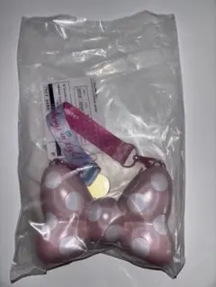 【ミニスナックケース】ディズニー パルパルーザ ミニーのファンダーランド 複数可