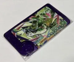 ポケモン　フレンダ　テツノイサハ　テラスタル　スーパートレジャー　2