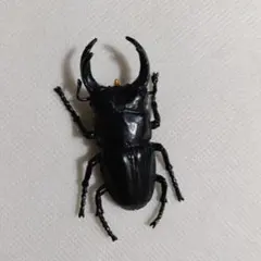 クワガタ フィギュア 昆虫 ミニチュア