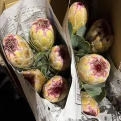 ももかっぱ様 リクエスト 2点 まとめ商品