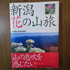 六郷うし様 リクエスト 2点 まとめ商品