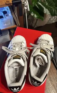 愛迪達 Superstar 超級巨星 白色/黑色