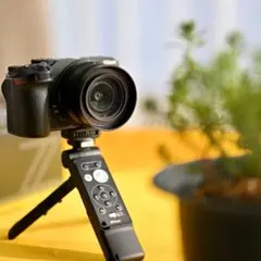 Item thumbnail for item 0414958c-e36a-496f-a3e3-3939dc4f2a6d