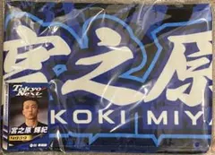 Item thumbnail for item 7ce1e287-46d7-4a33-808d-b34b1c147420