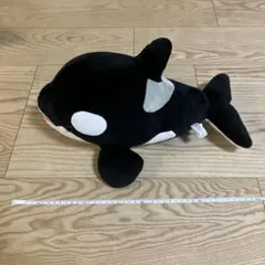 限定】名古屋港水族館 シャチ くじ 3等 ぬいぐるみくじ ブラック 黒