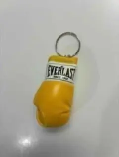 EVERLAST エバーラスト　モデル　ボクシング　ミニチュアグローブ　黄のサムネイル