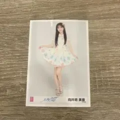 AKB48 会場限定生写真 名残り桜 第4弾 向井地美音のサムネイル