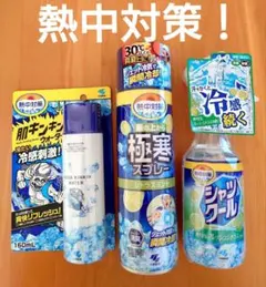 小林製薬 熱中対策 服の上から極寒スプレー シャツクール 肌キンキンウォーターのサムネイル