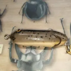 2025年最新】マンズ フロッグの人気アイテム - メルカリ