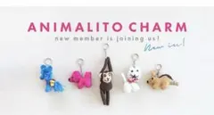 Letra⭐︎ ANIMALITO CHARM ブルー