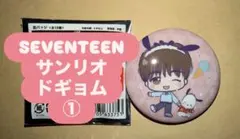 SEVENTEEN サンリオ 缶バッジ ドギョム ①